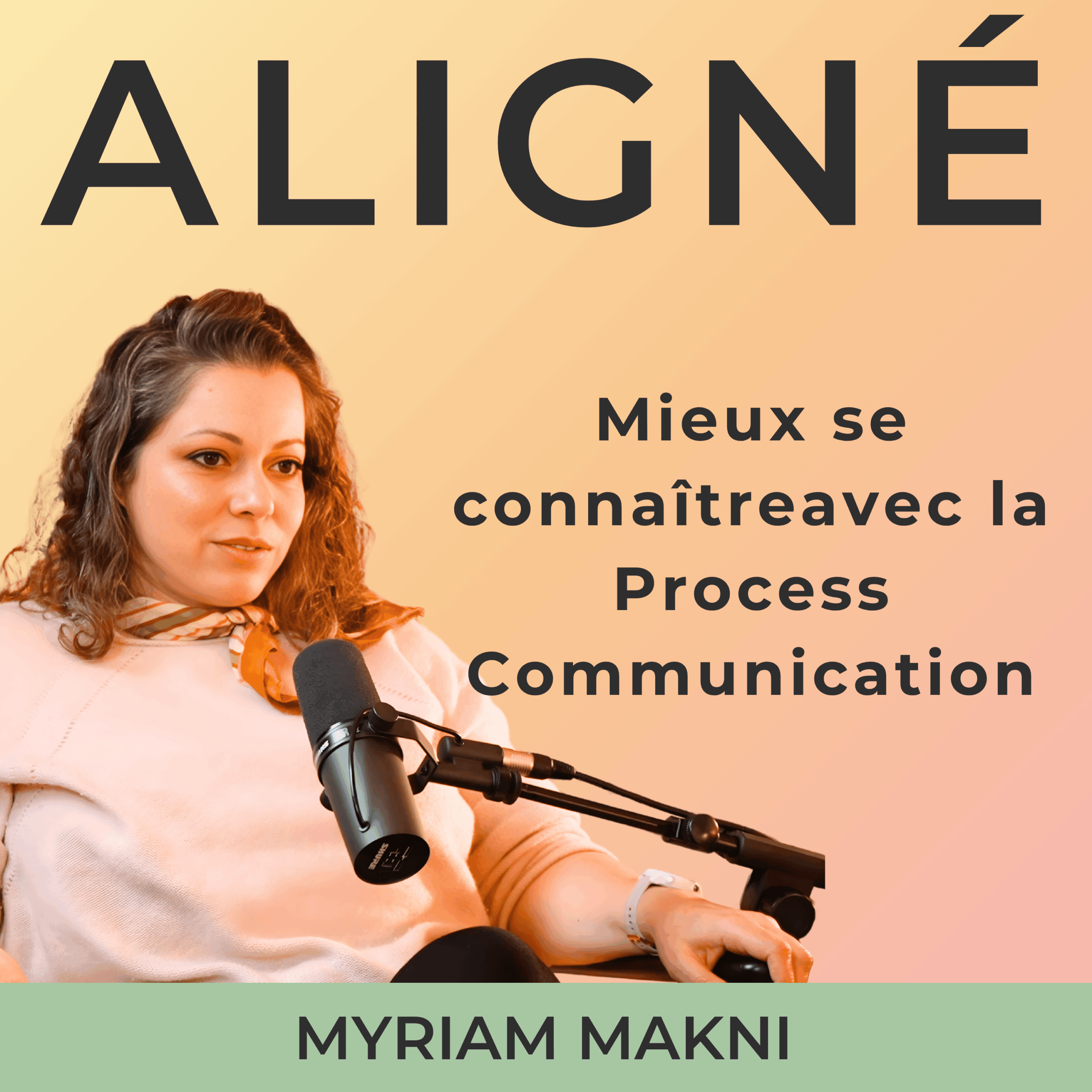 Mieux se connaitre avec la process communication
